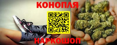индика Бузулук